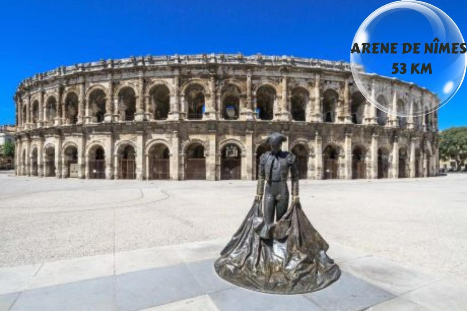Le Cosy Du Gal, A 2 Pas Du Palais Des Papes Parking Gratuit Securise Διαμέρισμα Αβινιόν Εξωτερικό φωτογραφία
