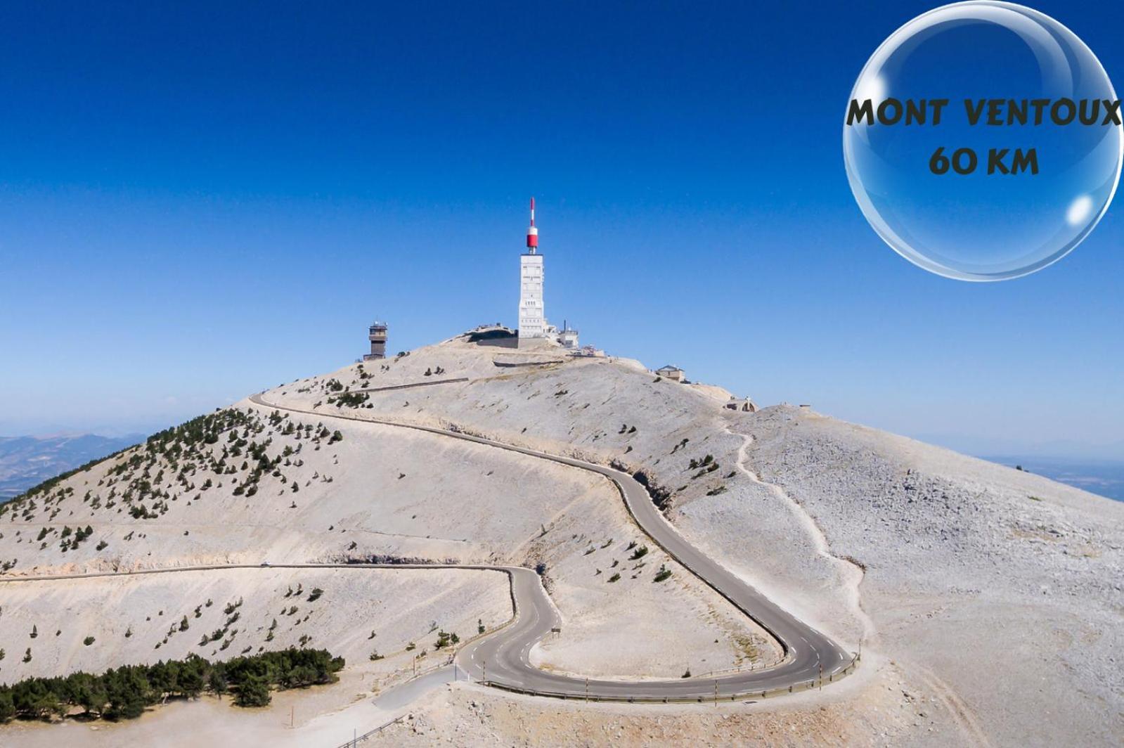 Le Cosy Du Gal, A 2 Pas Du Palais Des Papes Parking Gratuit Securise Διαμέρισμα Αβινιόν Εξωτερικό φωτογραφία